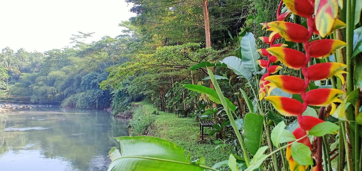 Awesome Place